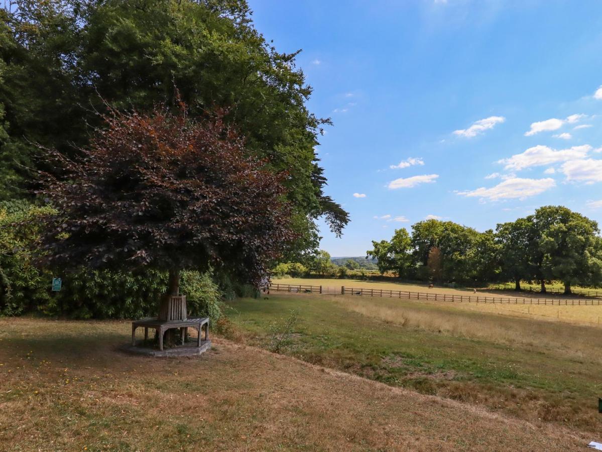 Nethercott House Winkleigh Esterno foto